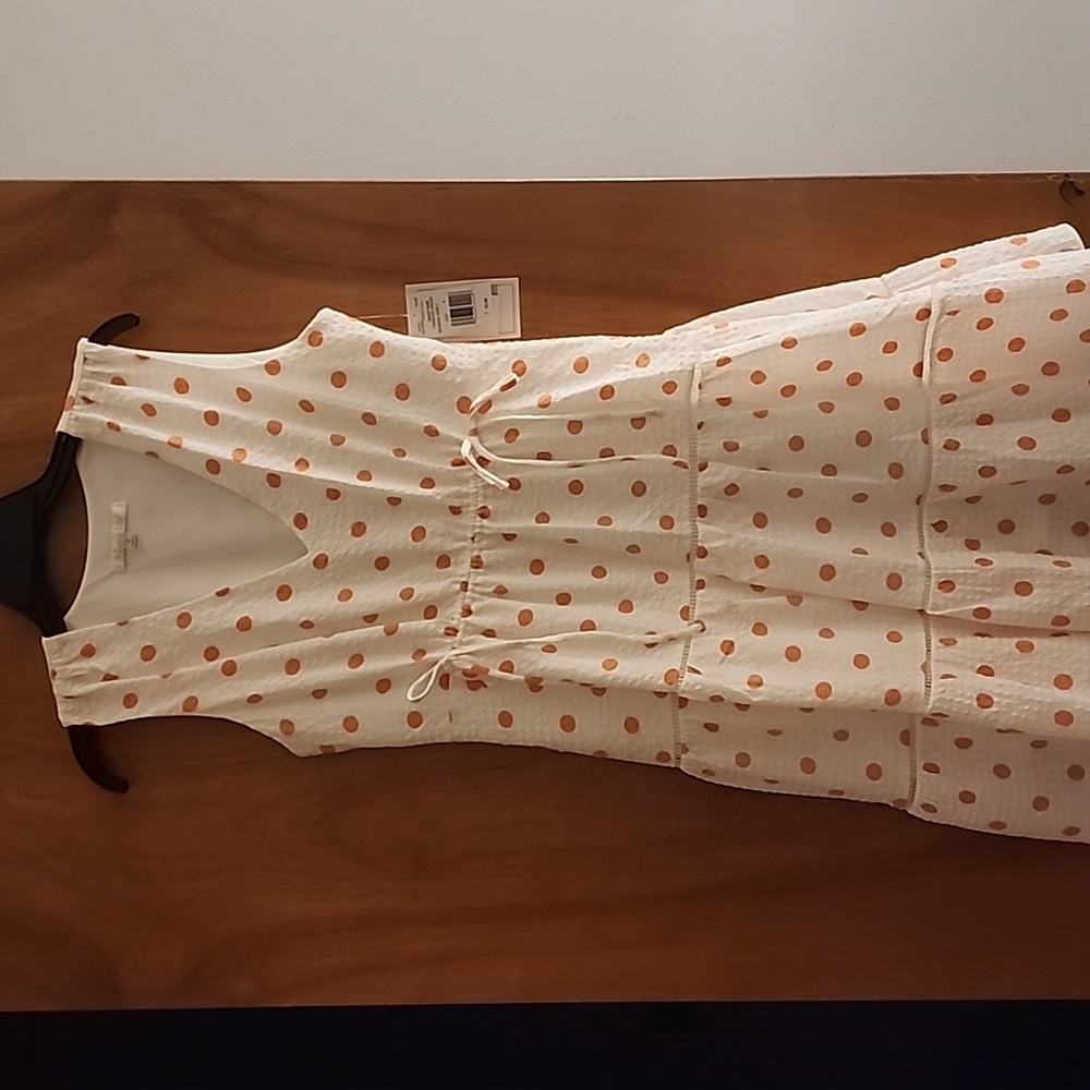 NWT Blecker 126 polka dot dress